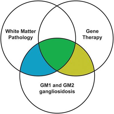 White Matter Pathology as a Barrier to Gangliosidosis Gene Therapy